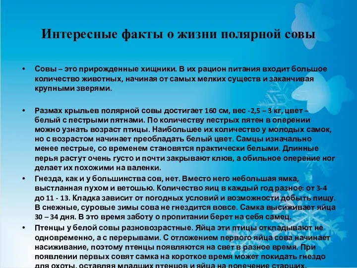 Интересные факты о жизни полярной совы Совы – это прирожденные