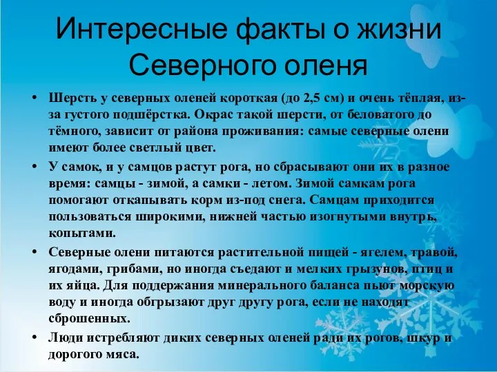 Интересные факты о жизни Северного оленя Шерсть у северных оленей