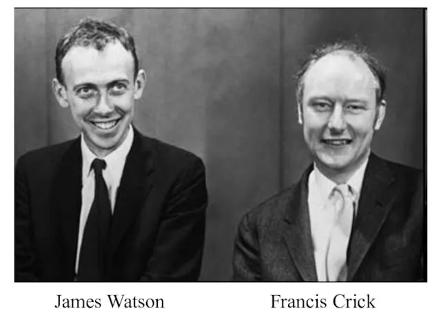 James Watson Francis Crick