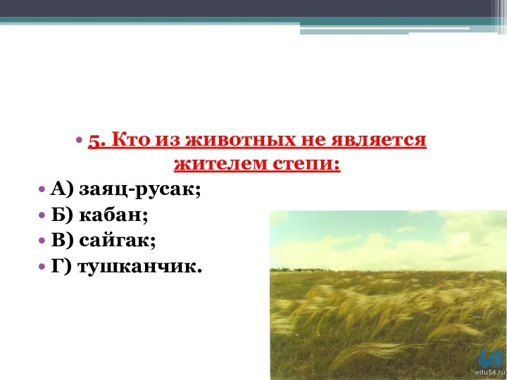 5. Кто из животных не является жителем степи: А) заяц-русак; Б) кабан; В) сайгак; Г) тушканчик.