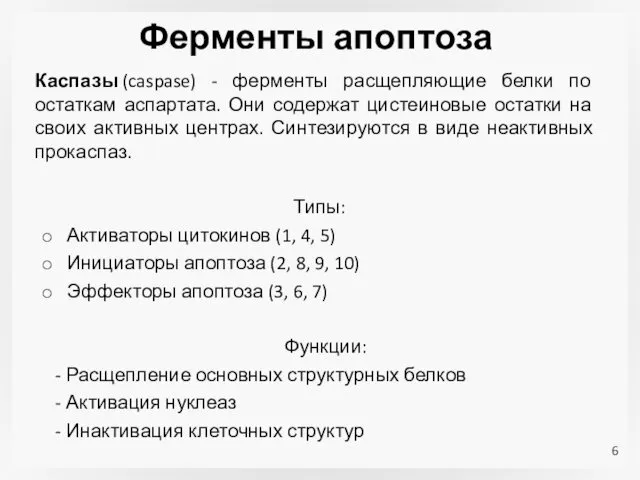 Ферменты апоптоза Каспазы (caspase) - ферменты расщепляющие белки по остаткам