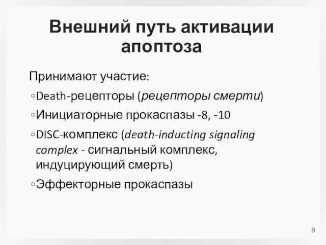 Внешний путь активации апоптоза Принимают участие: Death-рецепторы (рецепторы смерти) Инициаторные