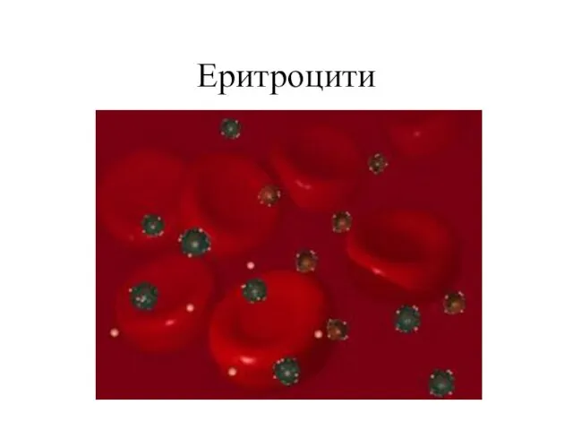 Еритроцити