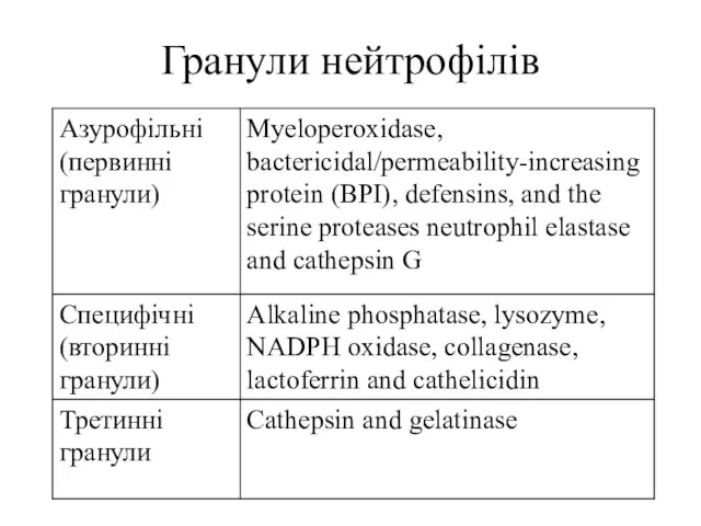 Гранули нейтрофілів