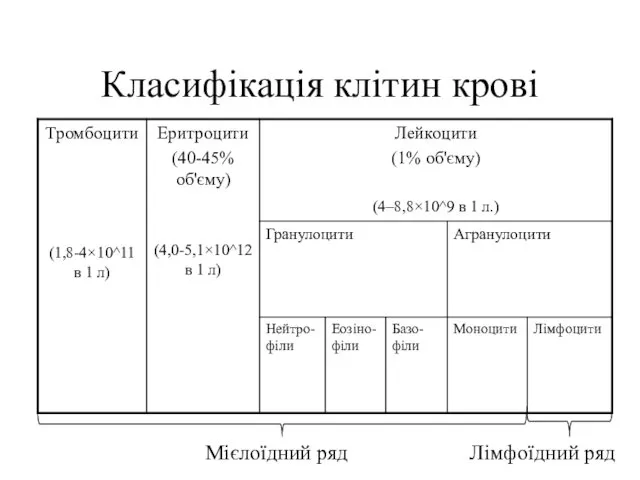 Класифікація клітин крові Мієлоїдний ряд Лімфоїдний ряд