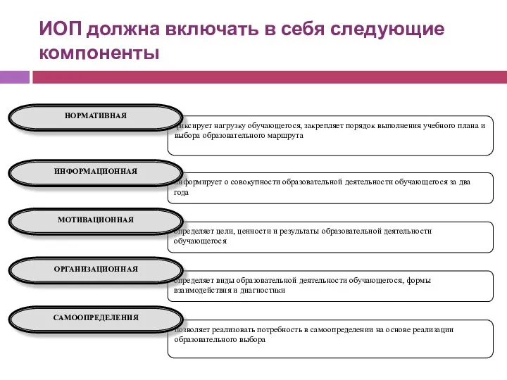 ИОП должна включать в себя следующие компоненты