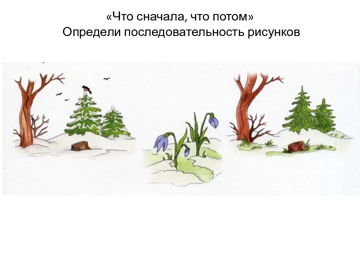 «Что сначала, что потом» Определи последовательность рисунков