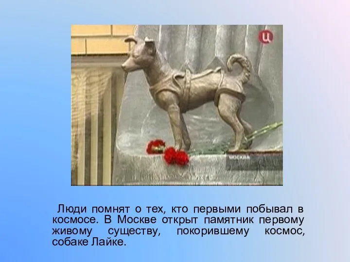 Люди помнят о тех, кто первыми побывал в космосе. В Москве открыт памятник