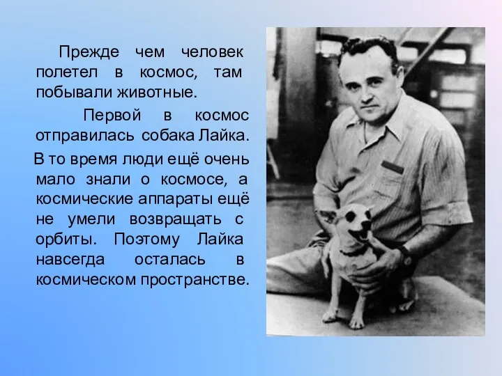 Прежде чем человек полетел в космос, там побывали животные. Первой в космос отправилась