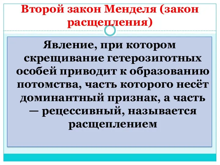 Второй закон Менделя (закон расщепления) Явление, при котором скрещивание гетерозиготных особей приводит к