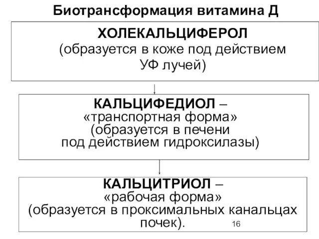 ХОЛЕКАЛЬЦИФЕРОЛ (образуется в коже под действием УФ лучей) КАЛЬЦИФЕДИОЛ –