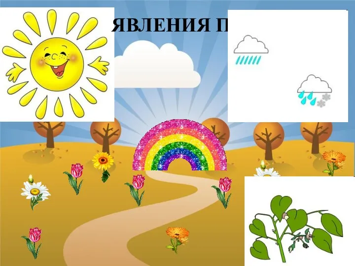 ЯВЛЕНИЯ ПРИРОДЫ