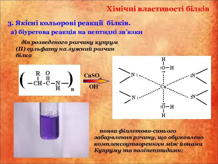 а) біуретова реакція на пептидні зв’язки дія розведеного розчину купрум(ІІ) сульфату на лужний