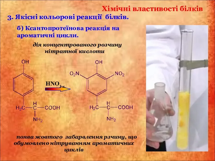 Хімічні властивості білків б) Ксантопротеїнова реакція на ароматичні цикли. 3. Якісні кольорові реакції