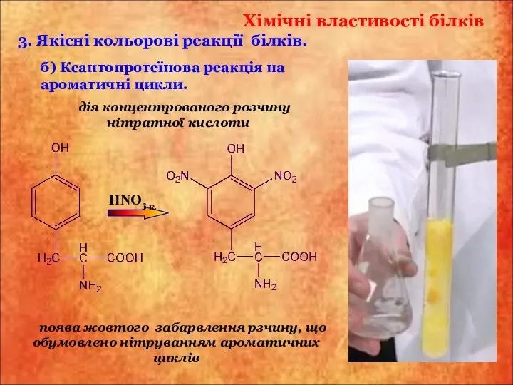 Хімічні властивості білків б) Ксантопротеїнова реакція на ароматичні цикли. 3.