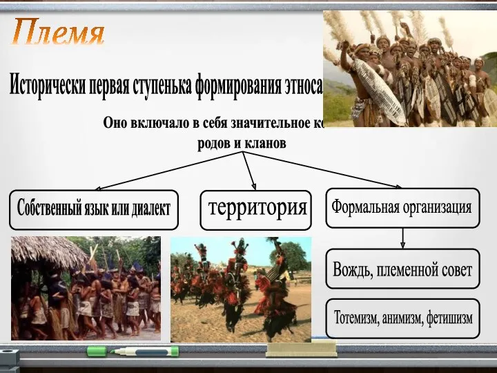 Племя Исторически первая ступенька формирования этноса. Оно включало в себя