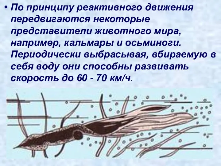 По принципу реактивного движения передвигаются некоторые представители животного мира, например,