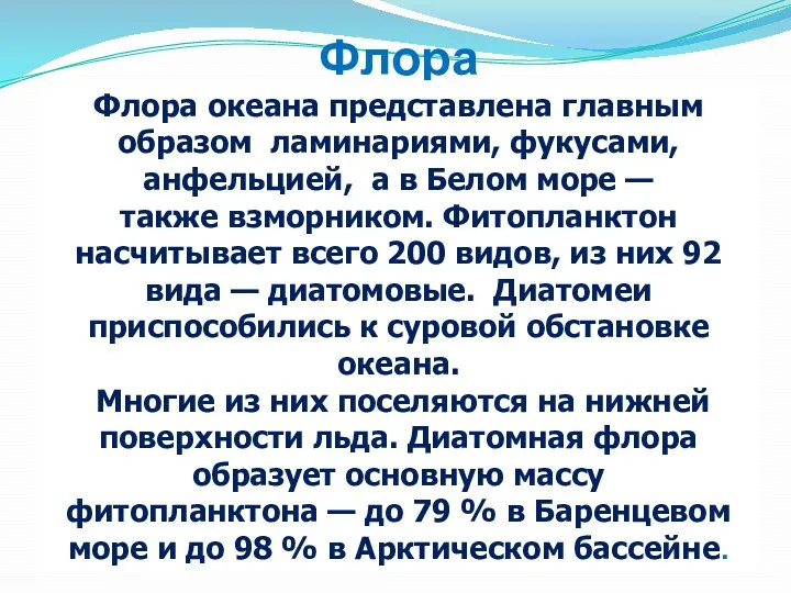 Флора Флора океана представлена главным образом ламинариями, фукусами, анфельцией, а