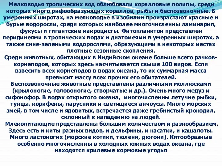 Мелководья тропических вод облюбовали коралловые полипы, среди которых много рифообразующих