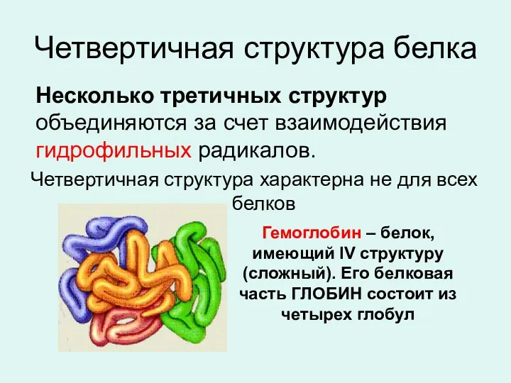 Четвертичная структура белка Несколько третичных структур объединяются за счет взаимодействия