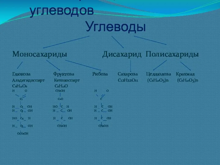 Классификация углеводов Углеводы Моносахариды Дисахарид Полисахариды Глюкоза Фруктоза Рибоза Сахароза