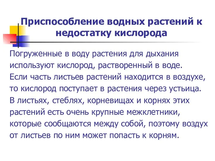 Приспособление водных растений к недостатку кислорода Погруженные в воду растения