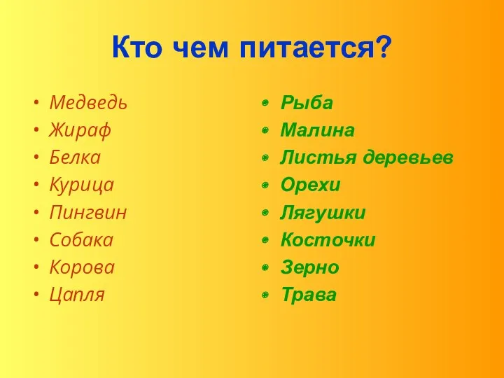 Кто чем питается? Медведь Жираф Белка Курица Пингвин Собака Корова