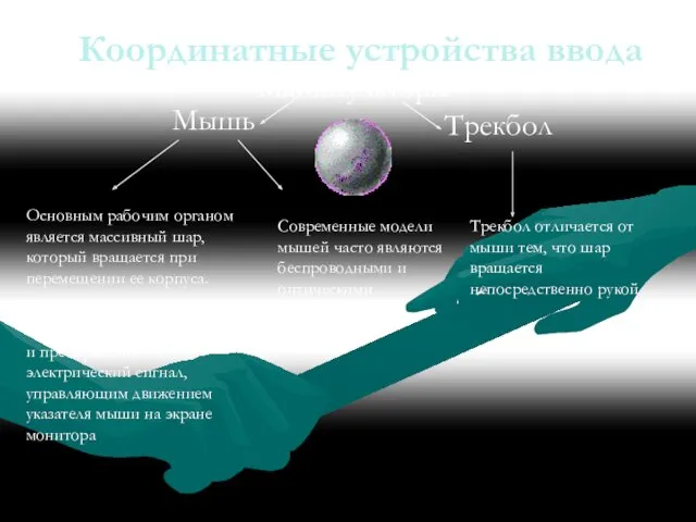 Мышь Координатные устройства ввода Основным рабочим органом является массивный шар,