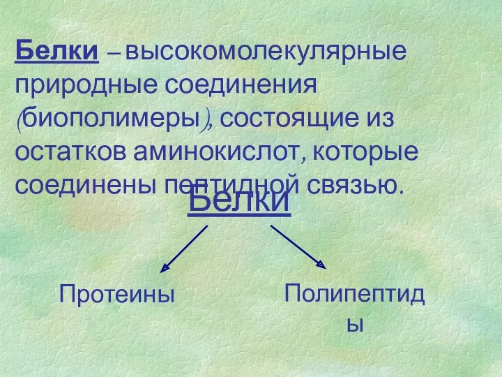 Белки – высокомолекулярные природные соединения (биополимеры), состоящие из остатков аминокислот,