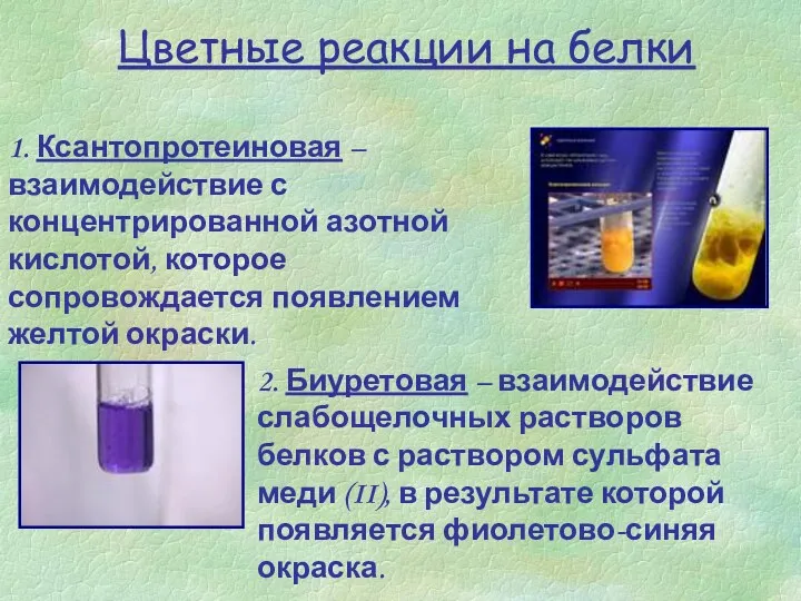 Цветные реакции на белки 1. Ксантопротеиновая – взаимодействие с концентрированной