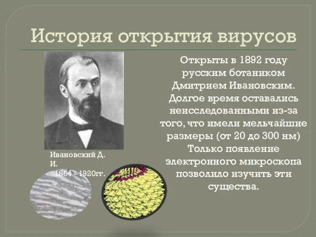 История открытия вирусов Открыты в 1892 году русским ботаником Дмитрием Ивановским. Долгое время