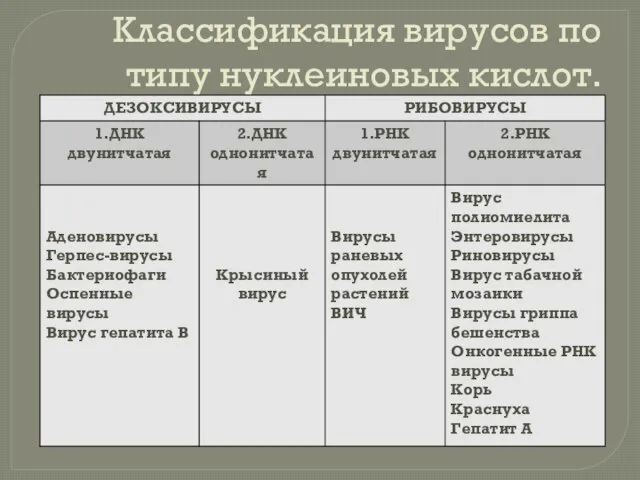 Классификация вирусов по типу нуклеиновых кислот.