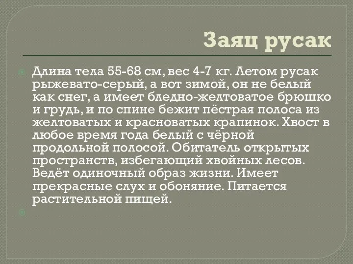 Заяц русак Длина тела 55-68 см, вес 4-7 кг. Летом