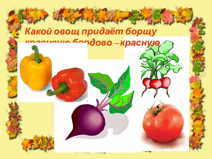 Какой овощ придаёт борщу красивую бордово – красную окраску?