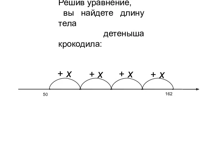 Решив уравнение, вы найдете длину тела детеныша крокодила: