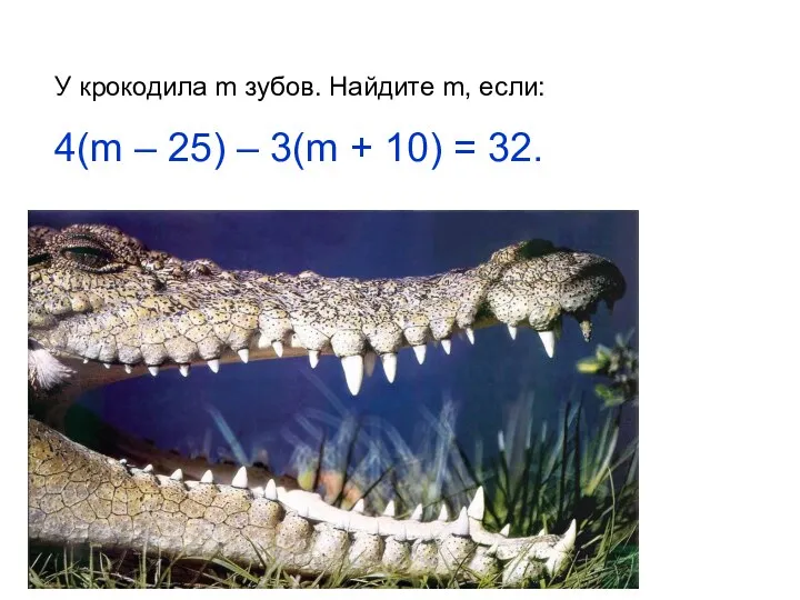 У крокодила m зубов. Найдите m, если: 4(m – 25) – 3(m + 10) = 32.