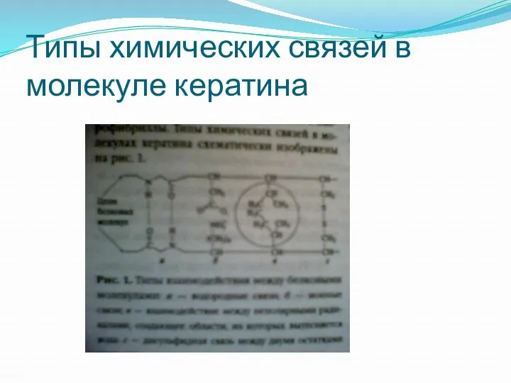 Типы химических связей в молекуле кератина