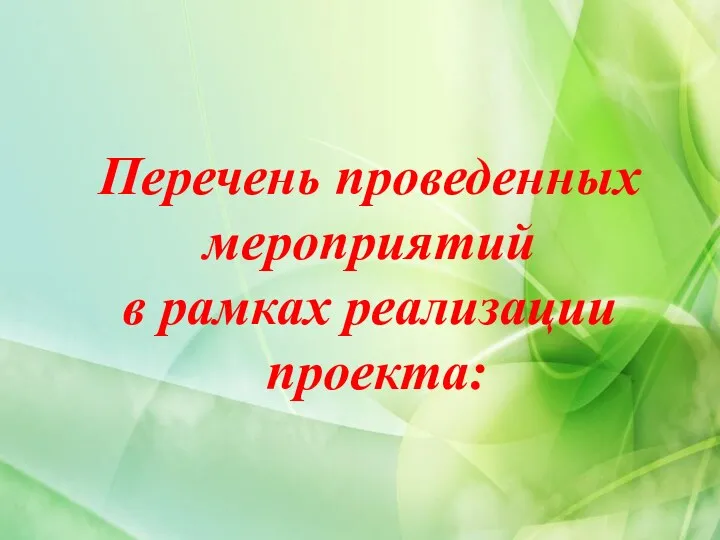 Перечень проведенных мероприятий в рамках реализации проекта: