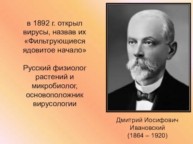 в 1892 г. открыл вирусы, назвав их «Фильтрующиеся ядовитое начало»