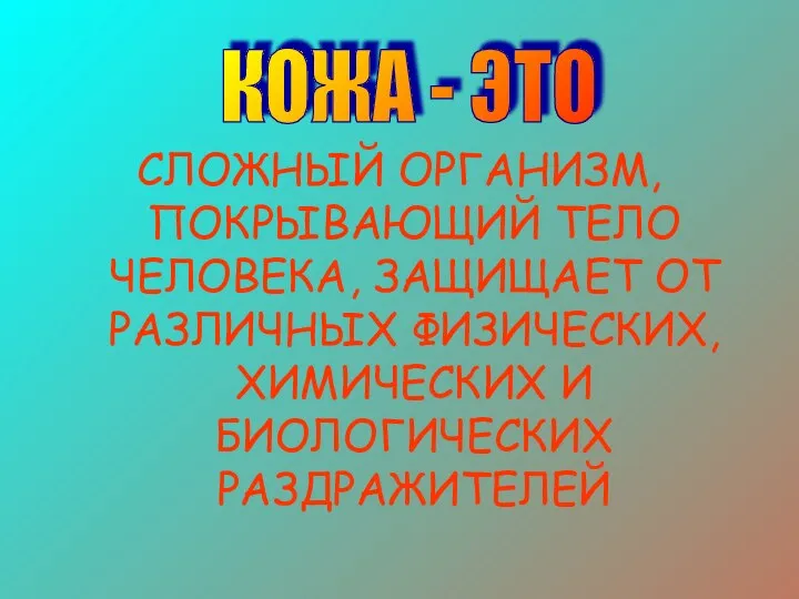 СЛОЖНЫЙ ОРГАНИЗМ, ПОКРЫВАЮЩИЙ ТЕЛО ЧЕЛОВЕКА, ЗАЩИЩАЕТ ОТ РАЗЛИЧНЫХ ФИЗИЧЕСКИХ, ХИМИЧЕСКИХ И БИОЛОГИЧЕСКИХ РАЗДРАЖИТЕЛЕЙ КОЖА - ЭТО