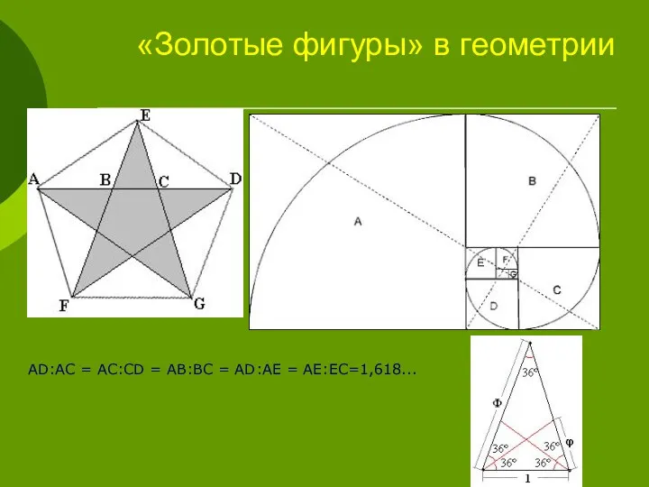 AD:AC = AC:CD = AB:BC = AD:AE = AE:EC=1,618... «Золотые фигуры» в геометрии