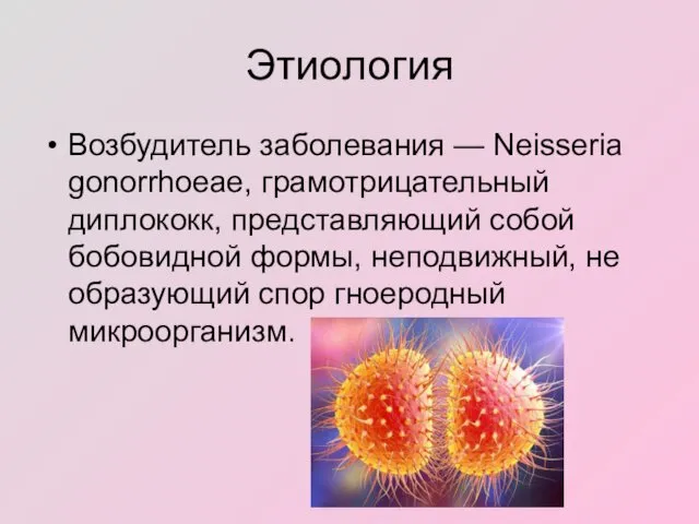 Этиология Возбудитель заболевания — Neisseria gonorrhoeae, грамотрицательный диплококк, представляющий собой бобовидной формы, неподвижный,