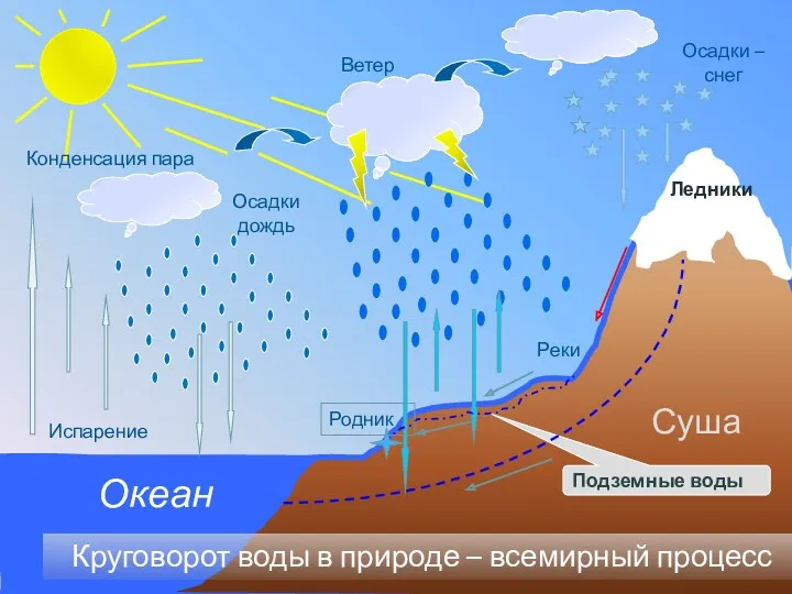 Испарение Конденсация пара Осадкидождь Осадки – снег Ветер Круговорот воды