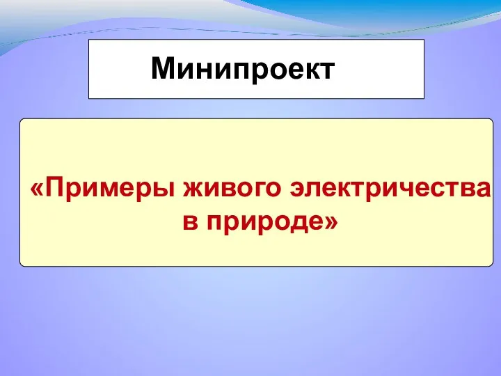 «Примеры живого электричества в природе» Минипроект