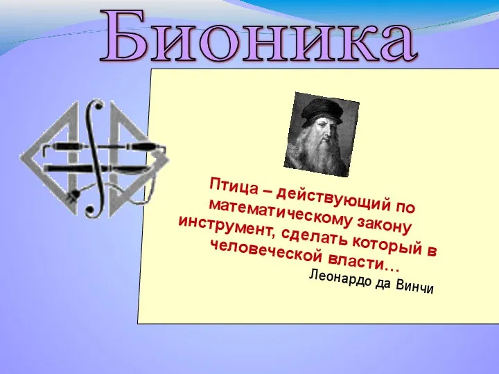 Птица – действующий по математическому закону инструмент, сделать который в человеческой власти… Леонардо да Винчи Бионика