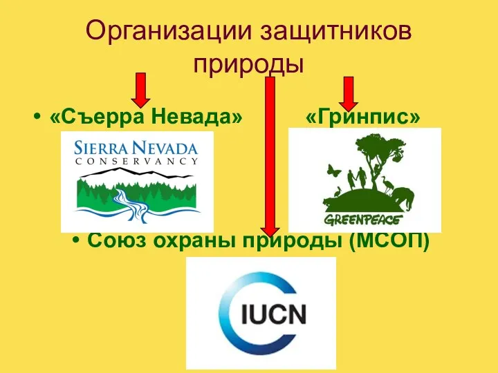 Организации защитников природы «Съерра Невада» «Гринпис» Союз охраны природы (МСОП)