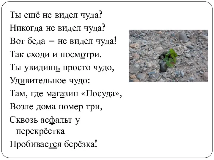 Ты ещё не видел чуда? Никогда не видел чуда? Вот беда – не