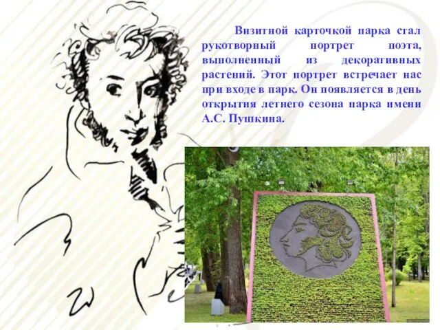 Визитной карточкой парка стал рукотворный портрет поэта, выполненный из декоративных