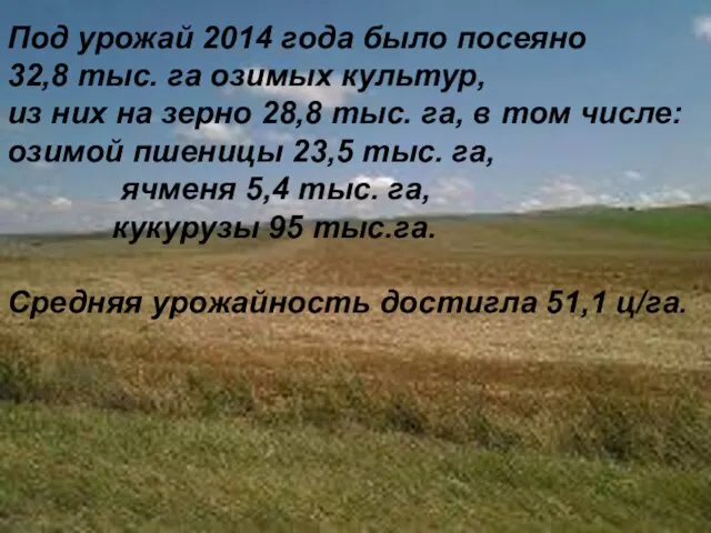 Под урожай 2014 года было посеяно 32,8 тыс. га озимых