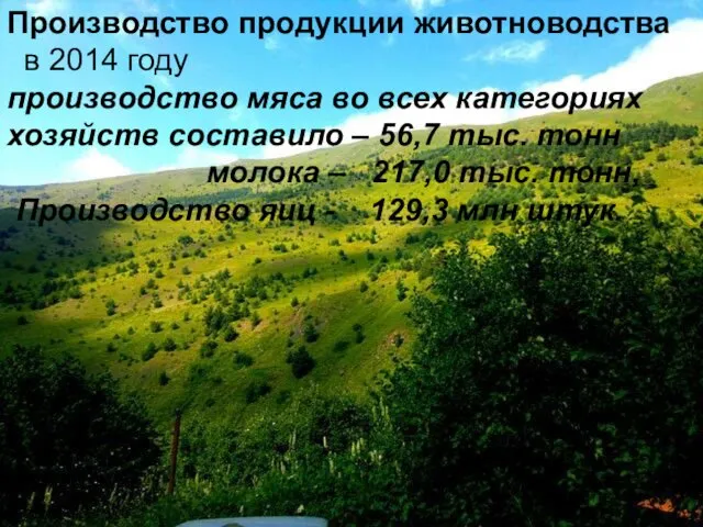 Производство продукции животноводства в 2014 году производство мяса во всех категориях хозяйств составило